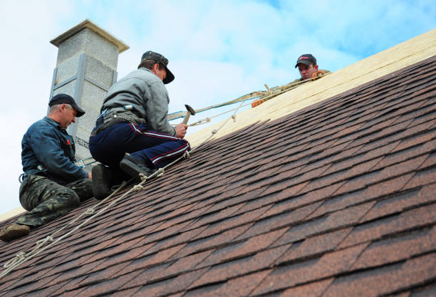 Roof Gutter Cleaning in El Macero, CA